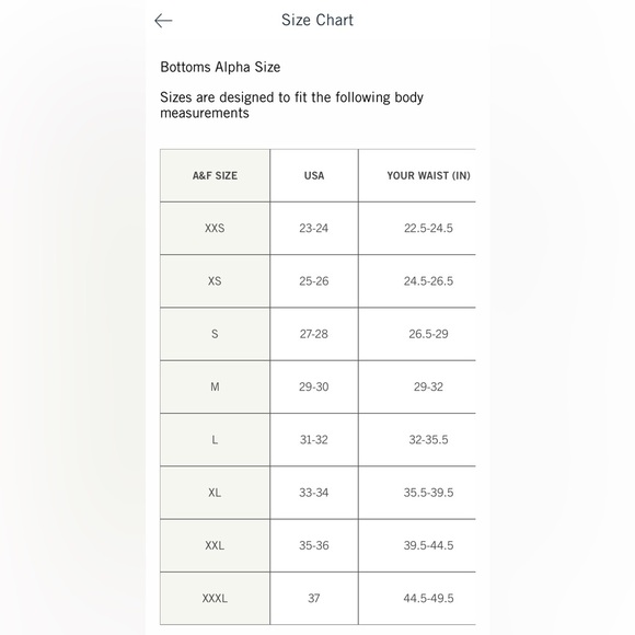 A+F Sloan Tailored High Waisted Shorts - Picture 9 of 10